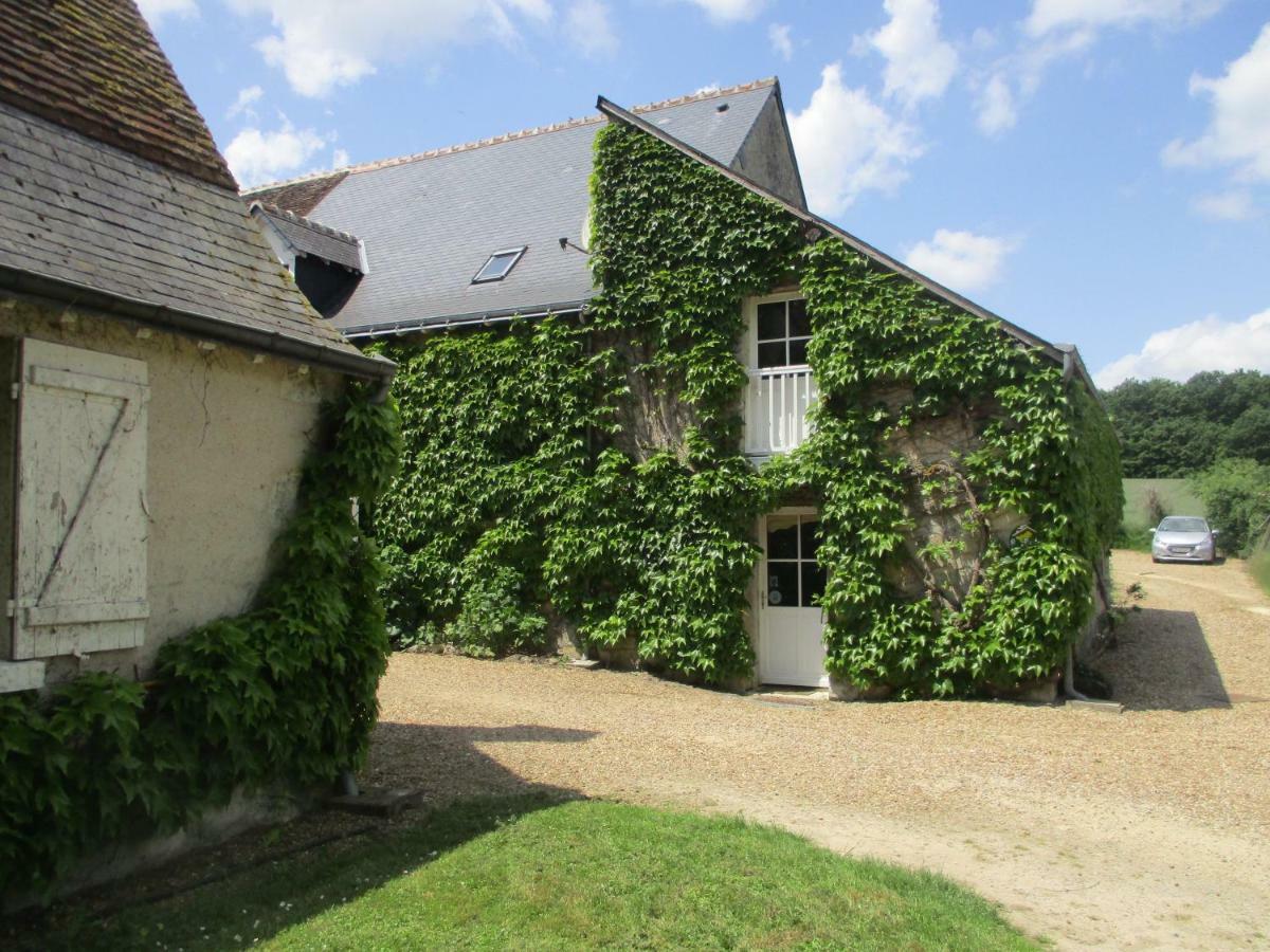 Chambres D'Hotes La Ferme Du Grand Launay Semblançay Exteriér fotografie